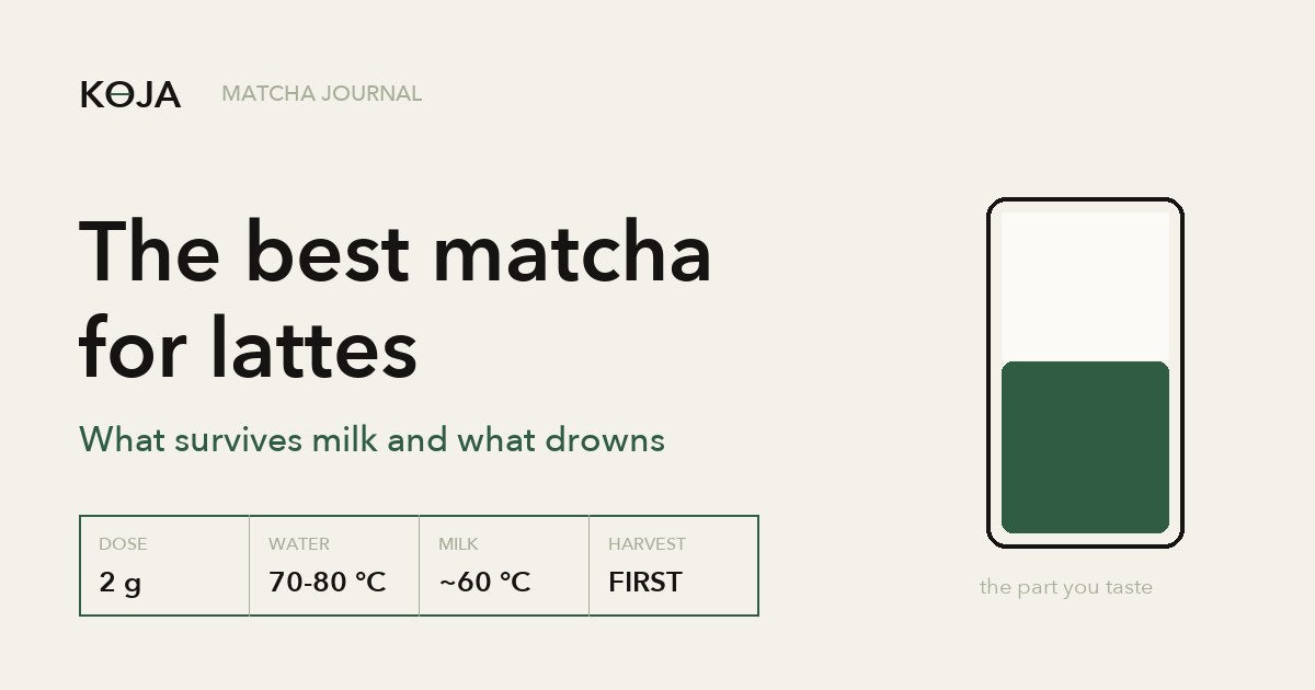 The best matcha for lattes: what survives milk, KOJA Matcha Journal