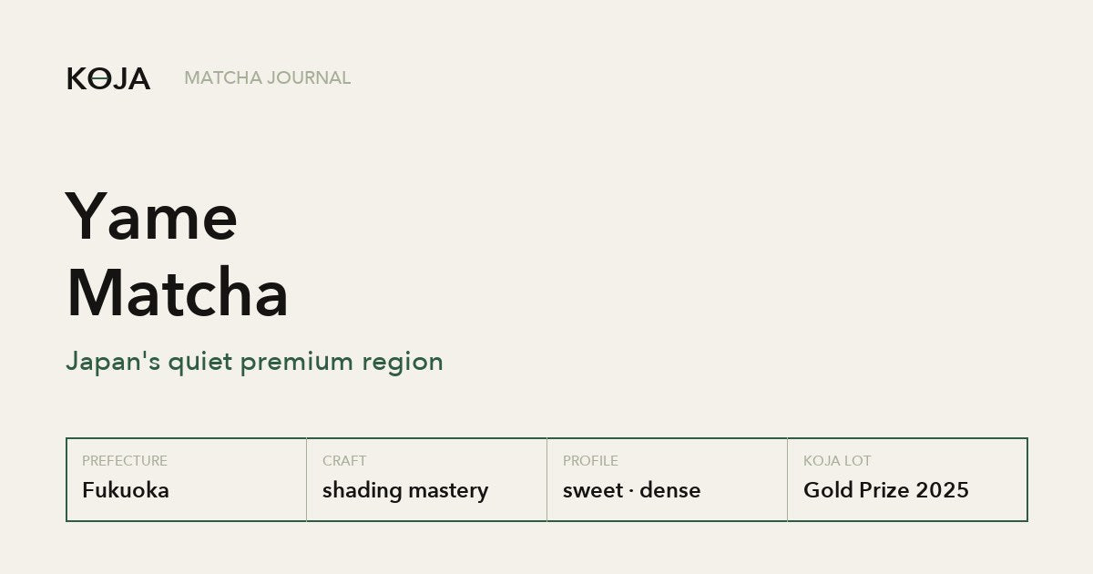 Yame matcha region profile: shading tradition, sweet dense profile, limited lots