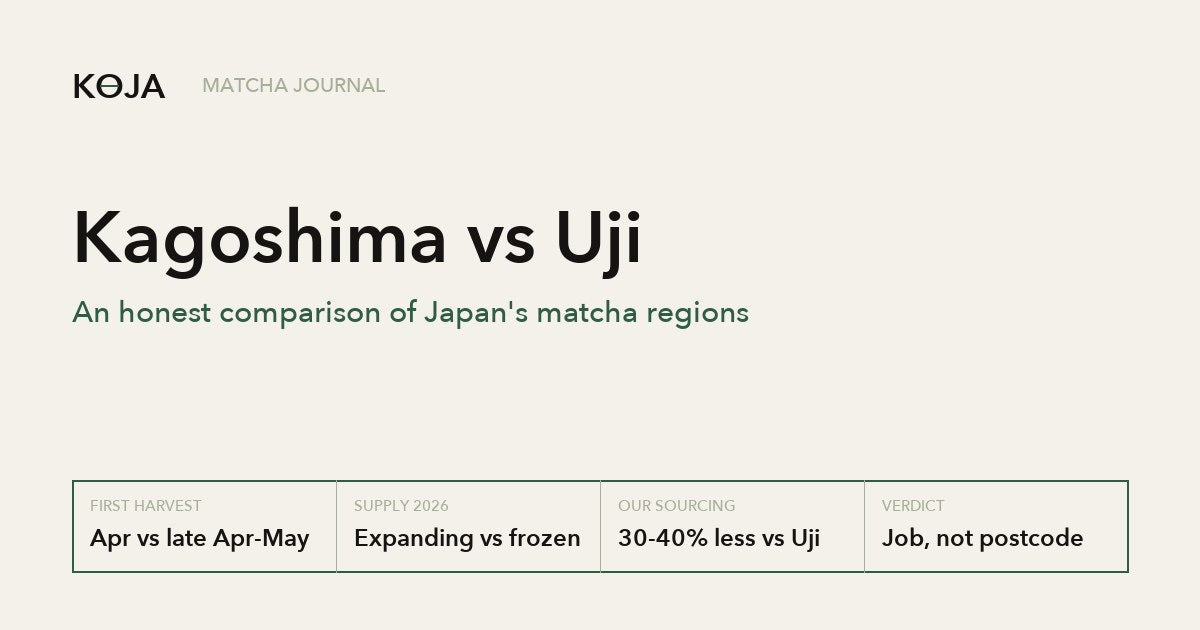 Kagoshima vs Uji: an honest comparison of Japan's matcha regions, KOJA Matcha Journal