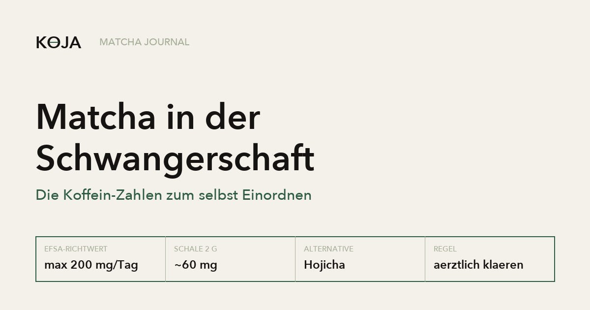Matcha in der Schwangerschaft: die Koffein-Zahlen zum Einordnen