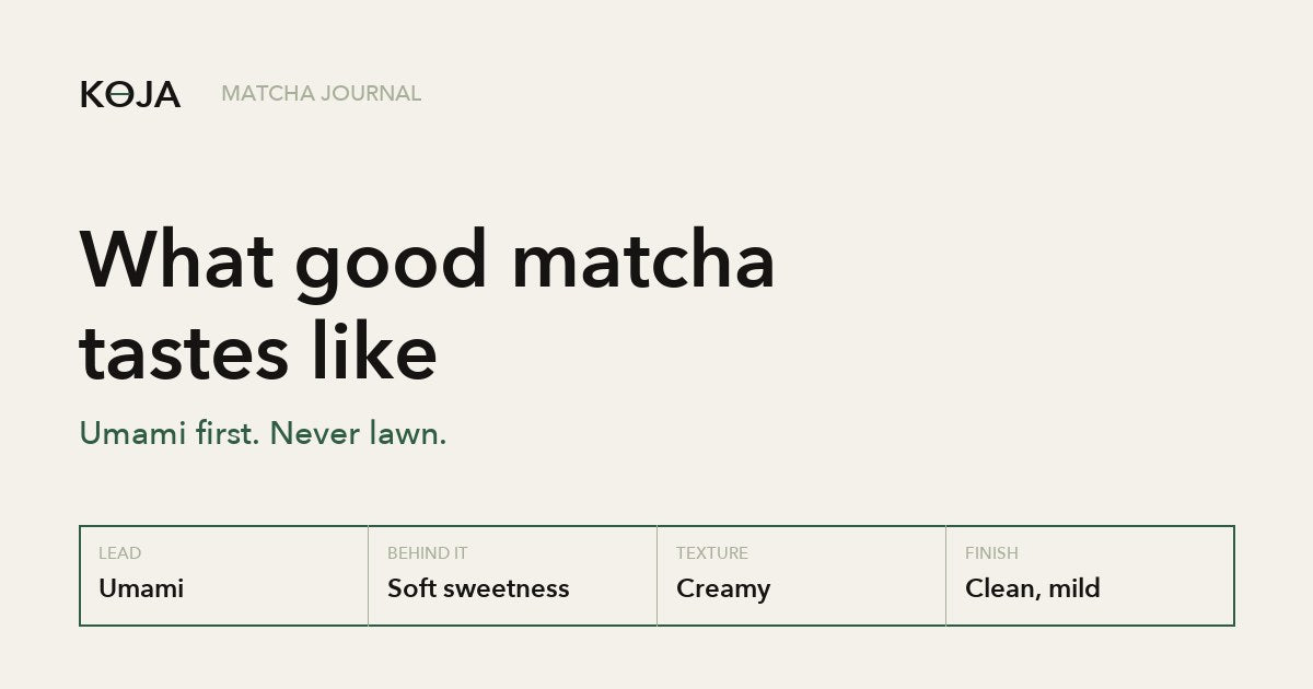 What good matcha should taste like: umami first, never lawn, KOJA Matcha Journal
