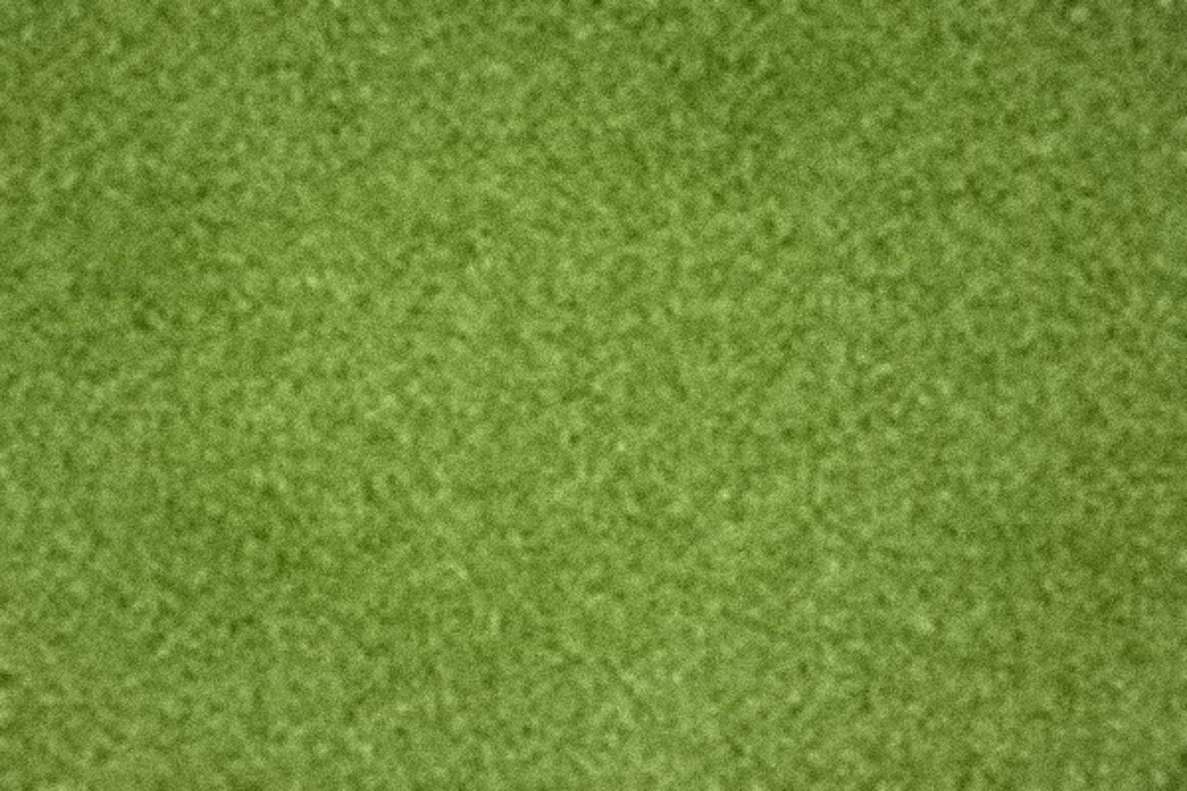 Vivid matcha green powder surface, the single color moment in the KOJA palette